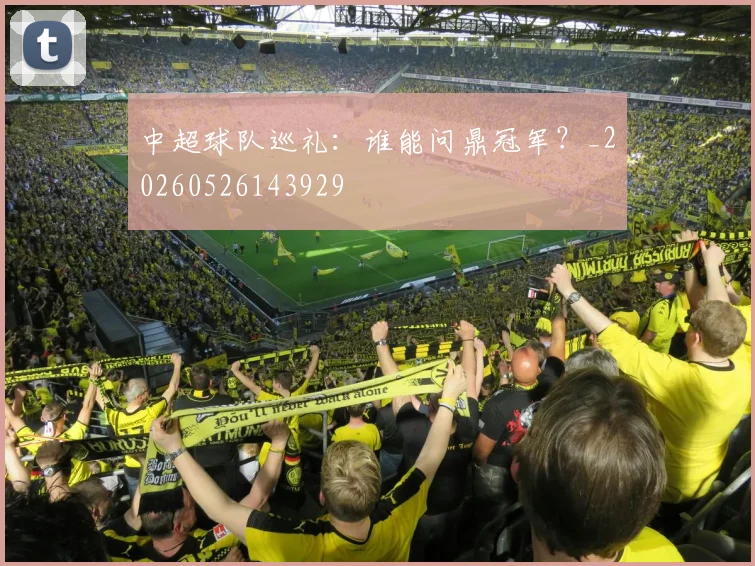 中超球队巡礼：谁能问鼎冠军？_20260526143929